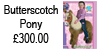 Butterscotch Pony